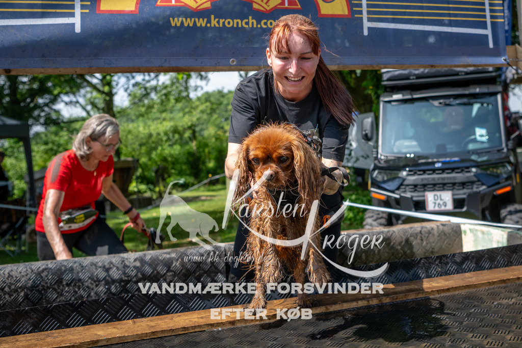 1100_ZZ92337 | kk-dogfotos