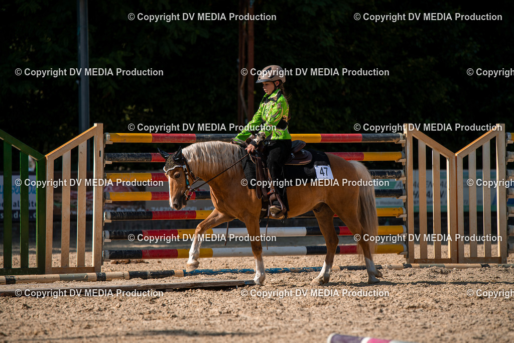 EWP_6955 | dv-media-shop - Realisiert mit Pictrs.com