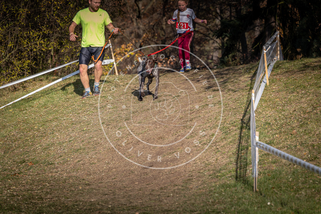CaniXpix_0L8A8662 | Hundefotografie, Tierfotograf, Pfotenfotografie, Fotoshooting Hund, Hunde Portrait, Hundesport, Hundeportraits, Heideshooting, Hunde, Sportfotograf, Hundefotograf, Turnierhundsport, THS,  - Realisiert mit Pictrs.com