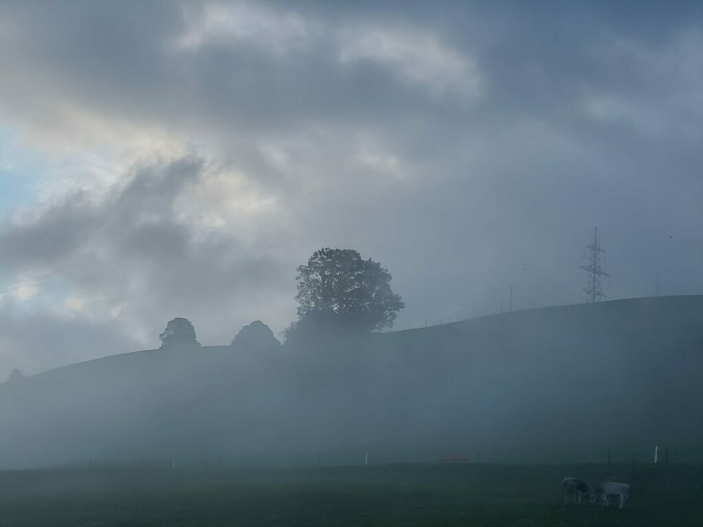 PSX_20220918_223629 | mtkfoto_ - Realisiert mit Pictrs.com