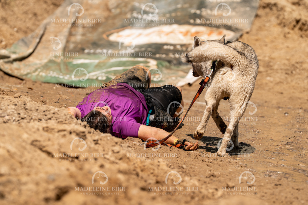 madeleinebirr.fotografie.2026.CC-hoope.14-16-30.2049 | hundefotografie-birr