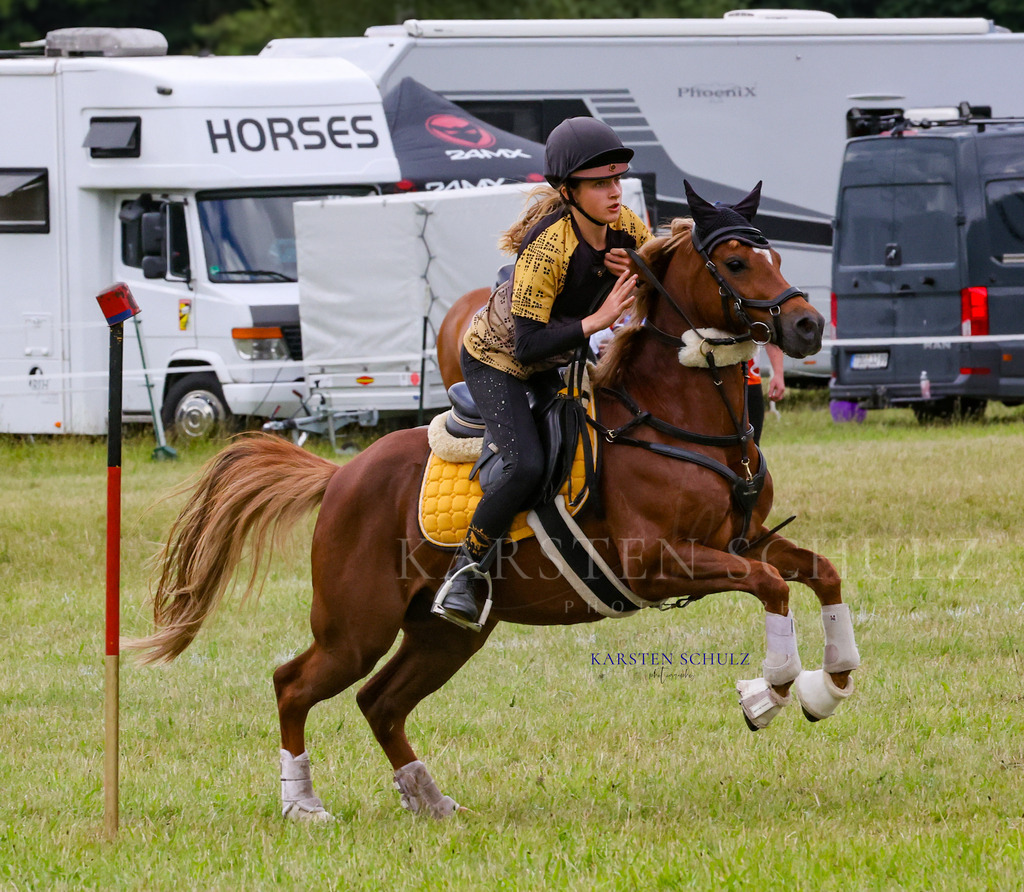 1B3A1004 | Reitsport Reiten