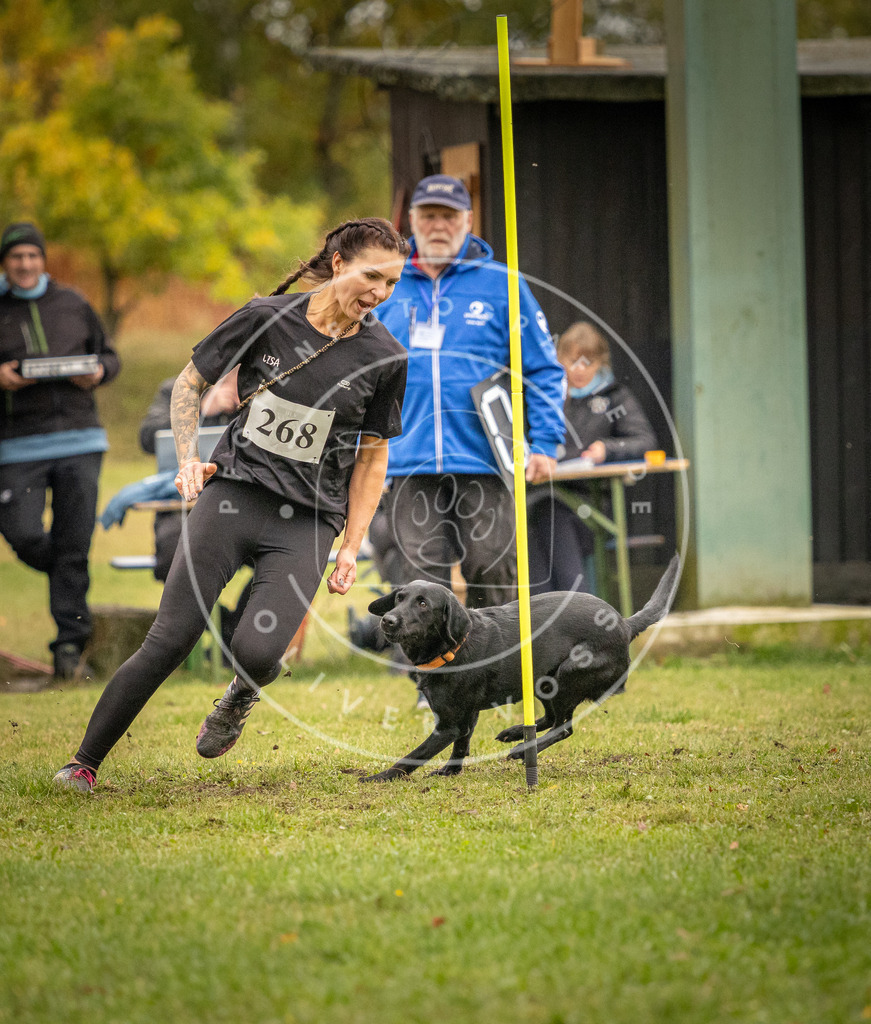 Pfotenfotografie_DV3A7572 | Hundefotografie, Tierfotograf, Pfotenfotografie, Fotoshooting Hund, Hunde Portrait, Hundesport, Hundeportraits, Heideshooting, Hunde, Sportfotograf, Hundefotograf, Turnierhundsport, THS,  - Realisiert mit Pictrs.com