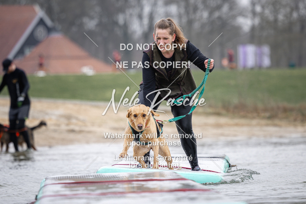 nelerasche_Hulsbeek_Sa1130-1230_428 | nelerasche