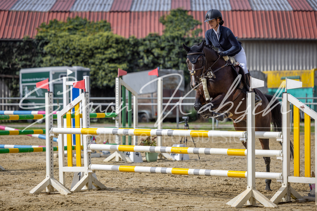 20260905-_3LI7545 | Tierfotografie Pferde, Hunde, Katzen, Haustiere.
Turnierfotografie Reitturniere, Reiten, Springreiten, Dressur in Hanau, dem Main-Kinzig-Kreis und dem Rhein-Main- Gebiet um Frankfurt