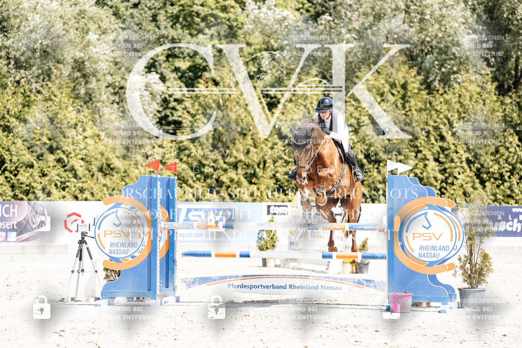 CK900444 | Turnierfotografie Pferdefotografie Trier Rheinland-Pfalz Pferdesport Reitsport Tierfotografie Sportfotografie Pferdevideo Pferdevideografie Equestrianvideography equestrianphotography  - Realisiert mit Pictrs.com