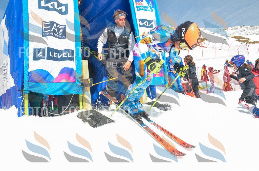 _ELE6438 | holidayphoto