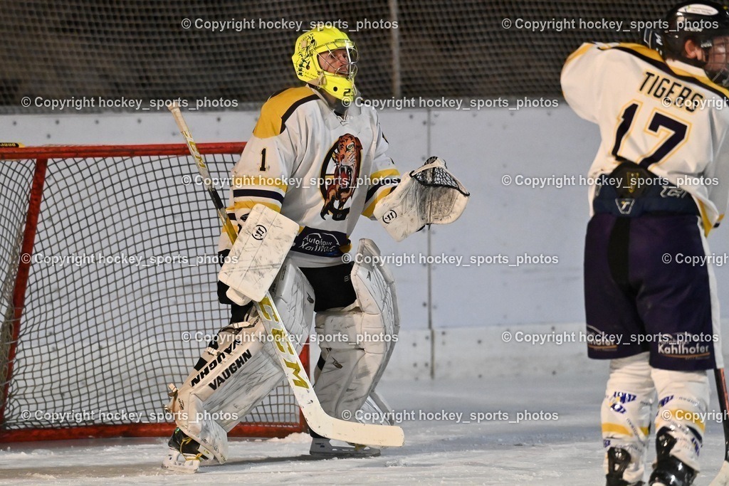 EC Ice Tigers Paternion vs. Ultras Spittal 21.1.2024 | #1 Tratter Georg, #17 Jonach Stefan