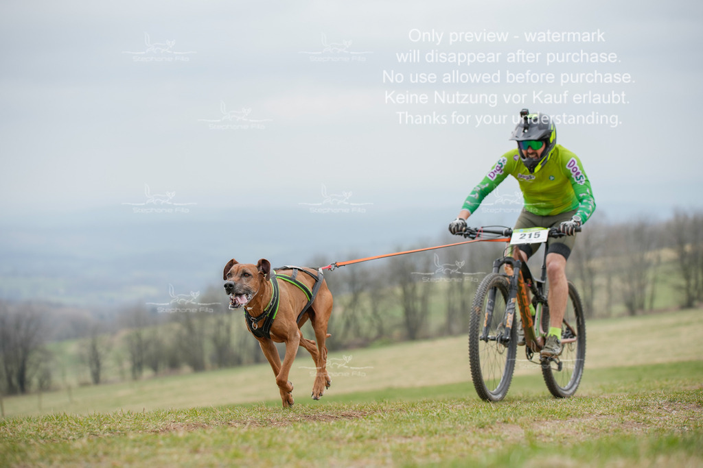 BikeSA-100 | stephaniefillaphotographie - Realisiert mit Pictrs.com