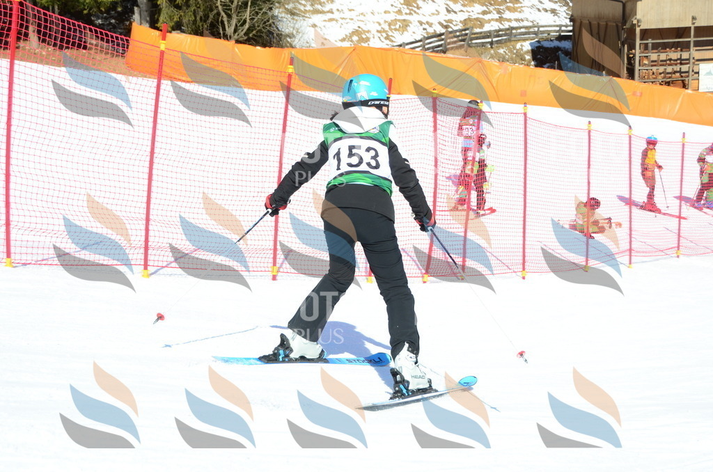 C6156 | holidayphoto