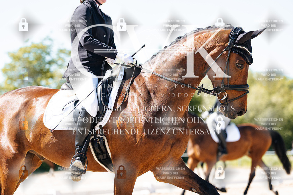 CK905163 | Turnierfotografie Pferdefotografie Trier Rheinland-Pfalz Pferdesport Reitsport Tierfotografie Sportfotografie Pferdevideo Pferdevideografie Equestrianvideography equestrianphotography  - Realisiert mit Pictrs.com