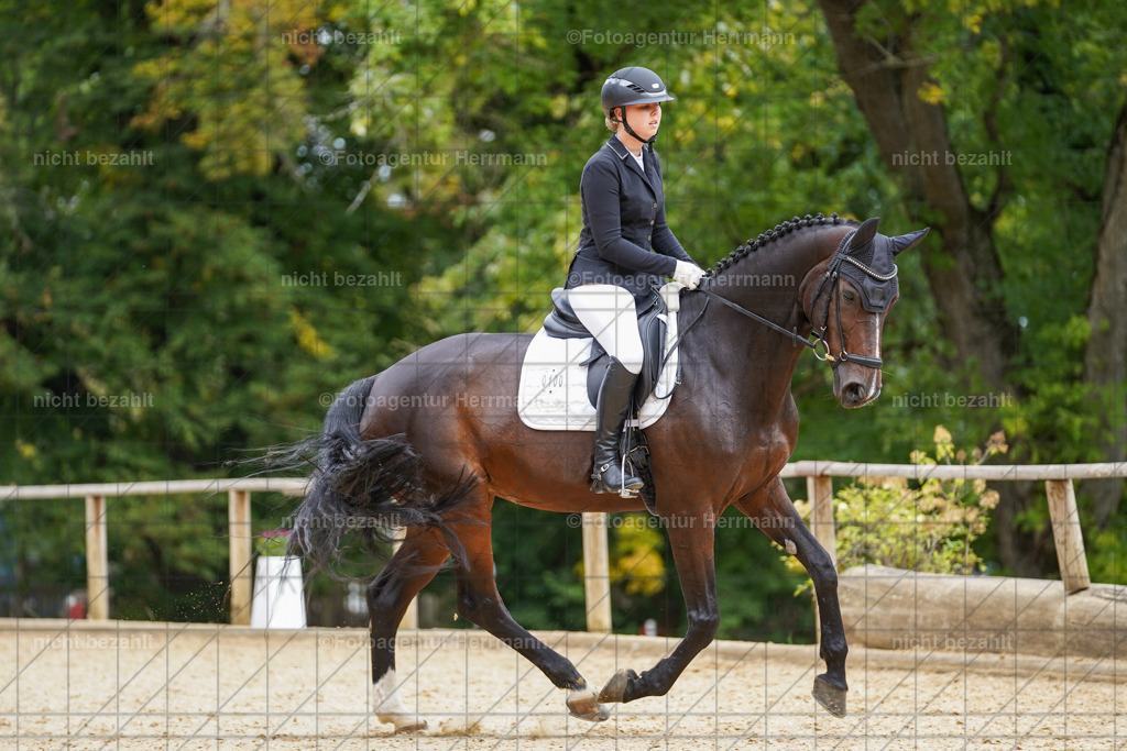 20231007-SN_00522 | Diessen am Ammersee, 2023, Dressur- und Springturnier, Reitsport, Turnierfotografie, Pferdebilder, Reitbilder, Turnierfotografen Bayern, Fotoagentur Herrmann