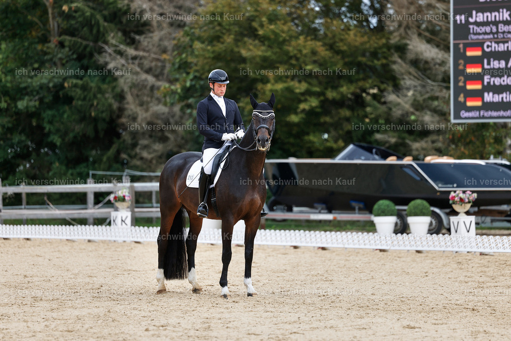 3-213-Dressur M_-StoibPH-2492 | working equitationturnier fotograf videograf stoibphotography marixx film working equitation deutschland reitsport turnierfotografie eventfotografie equestrian events