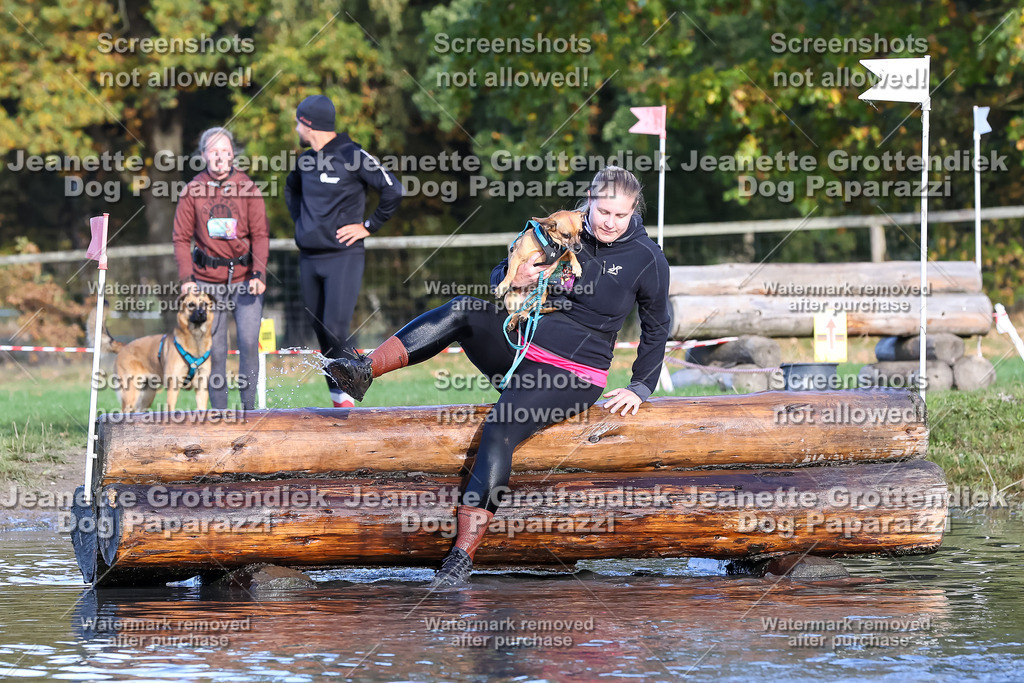 Dog Paparazzi - Strongdog 10-25-8552 | Dog Paparazzi Jeanette Grottendiek Fotografie & Videografie - Realisiert mit Pictrs.com