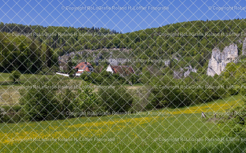 Im-Donautal-11 | IPTC Infos - Realisiert mit Pictrs.com