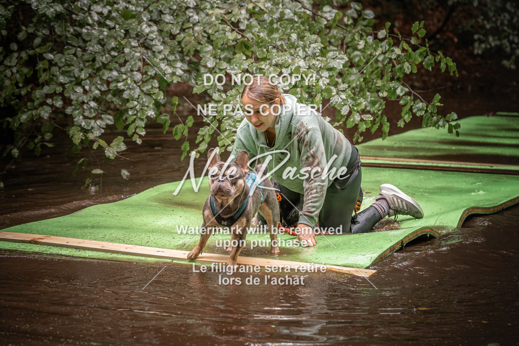 nelerasche_Wingst_Sa1330-1400_37 | nelerasche