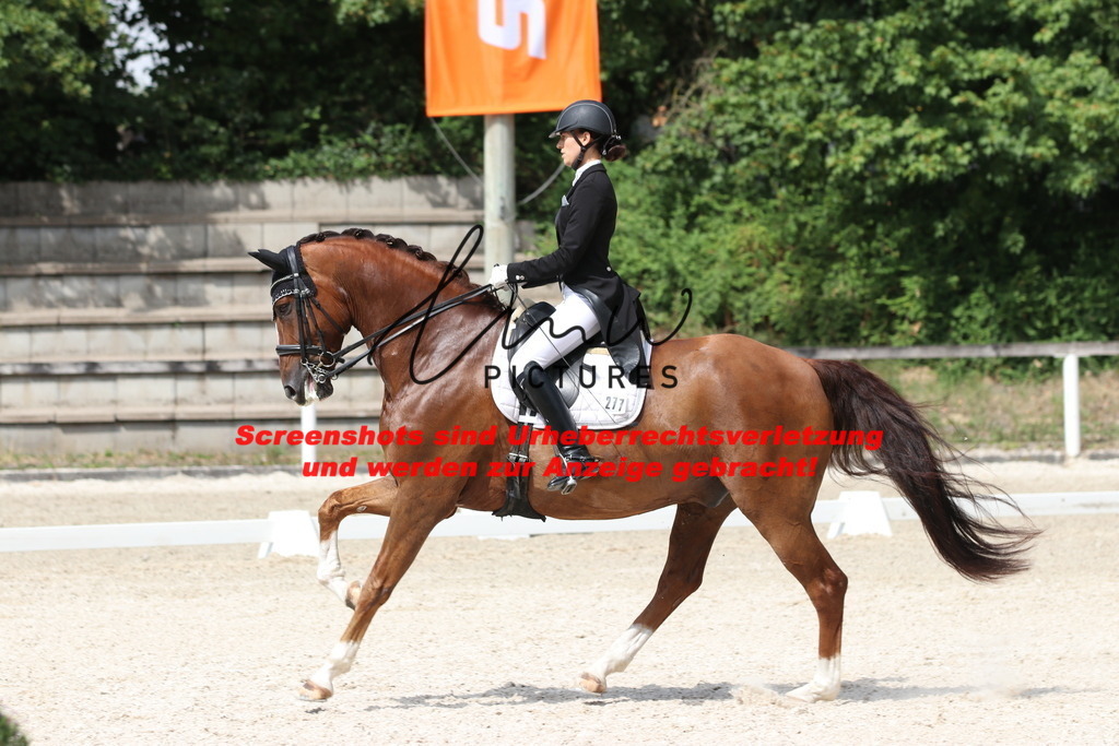 IMG_7128 | lmwpictures - Realisiert mit Pictrs.com