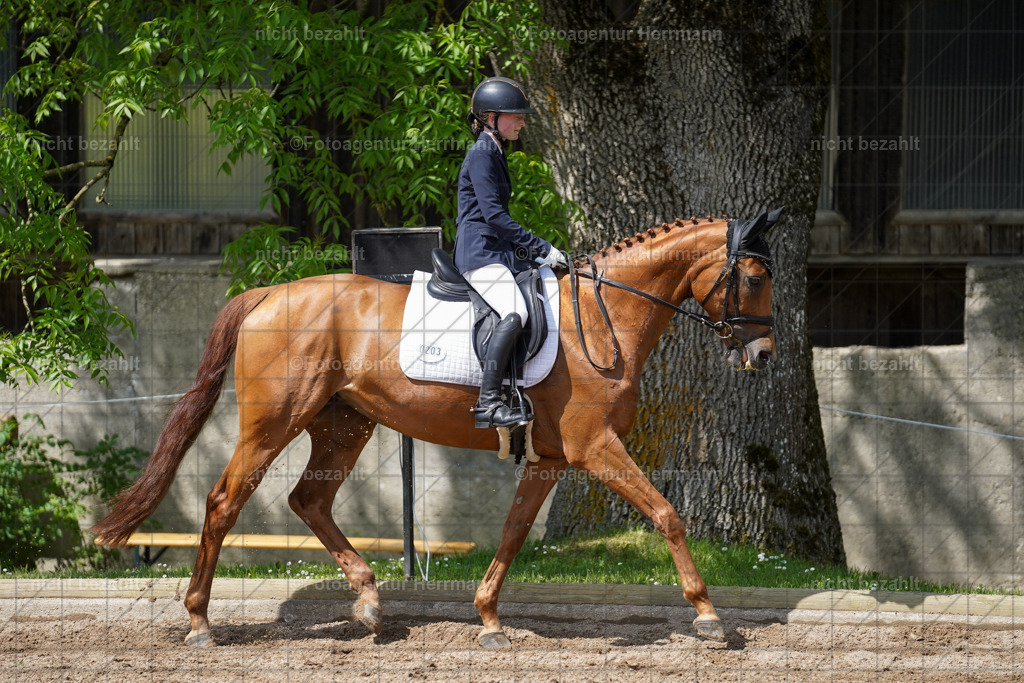20240519-FAH05042 | Turnierbilder Niederseeon 2024, Vielseitigkeitsdressur, Reitsportbilder aus dem Landkreit Ebersberg, Gut Steinsee, RC Steinsee, Fotoagentur Herrmann