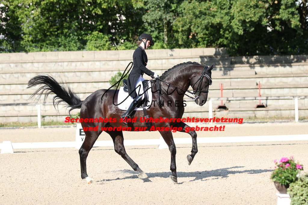 IMG_8831 | lmwpictures - Realisiert mit Pictrs.com