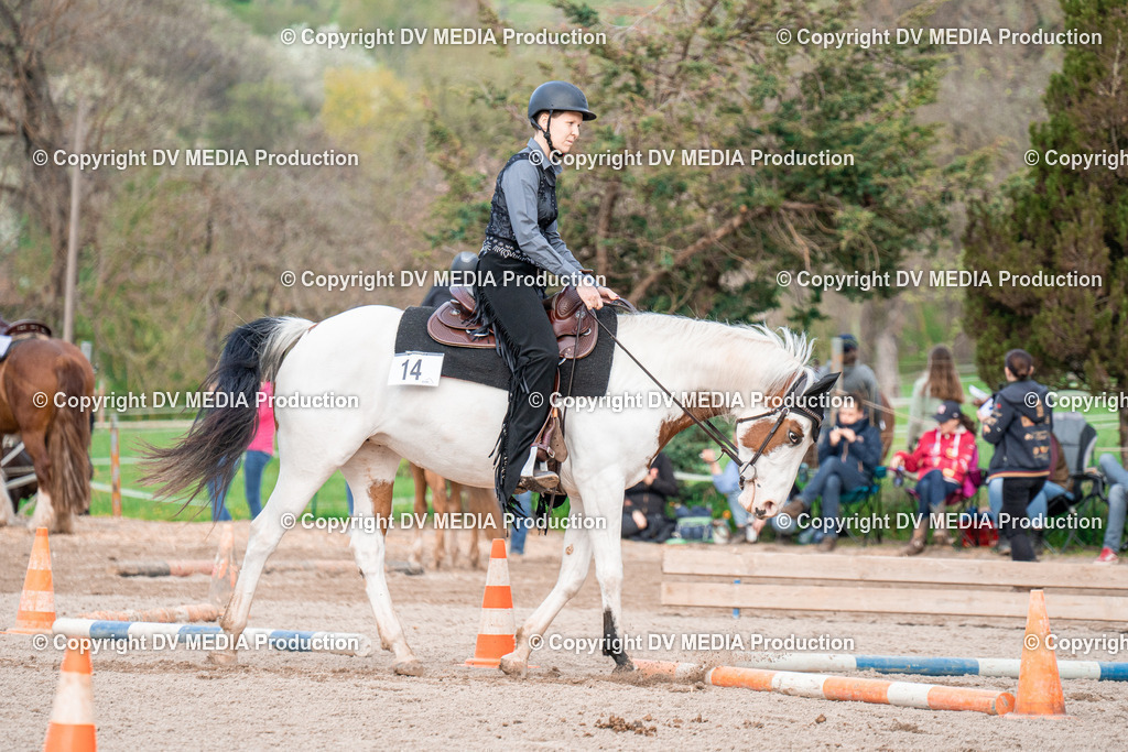 BAL02943 | dv-media-shop - Realisiert mit Pictrs.com