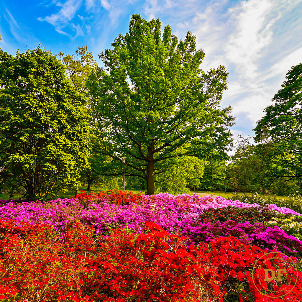 2_DSC8066 | Geschenke, Wandbilder und Accessoires mit Motiven aus Dresden und anderen schönen Orten zur Verschönerung Deines zu Hauses und zum verschenken gewünscht? Wähle Deine Lieblingsbild auf dem Produkt Deiner Wahl. 