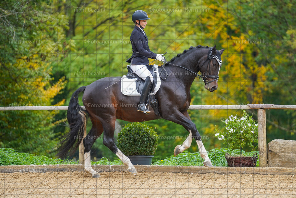 20221007-FAH09799 | Diessen am Ammersee, 2022, Dressur- und Springturnier, Reitsportbilder, Turnierfotografen Bayern, Pferdefotografen, Fotoagentur Herrmann, Turnierbilder