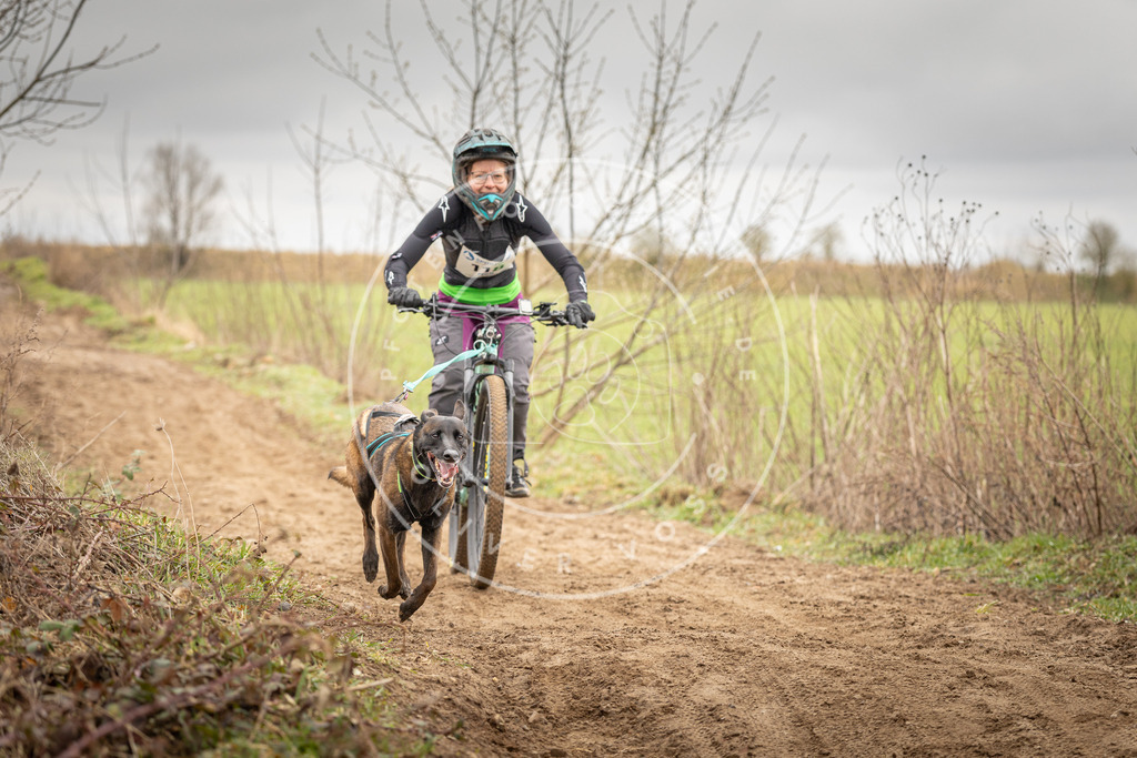 DV3A0869 | Hundefotografie, Tierfotograf, Pfotenfotografie, Fotoshooting Hund, Hunde Portrait, Hundesport, Hundeportraits, Heideshooting, Hunde, Sportfotograf, Hundefotograf, Turnierhundsport, THS,  - Realisiert mit Pictrs.com