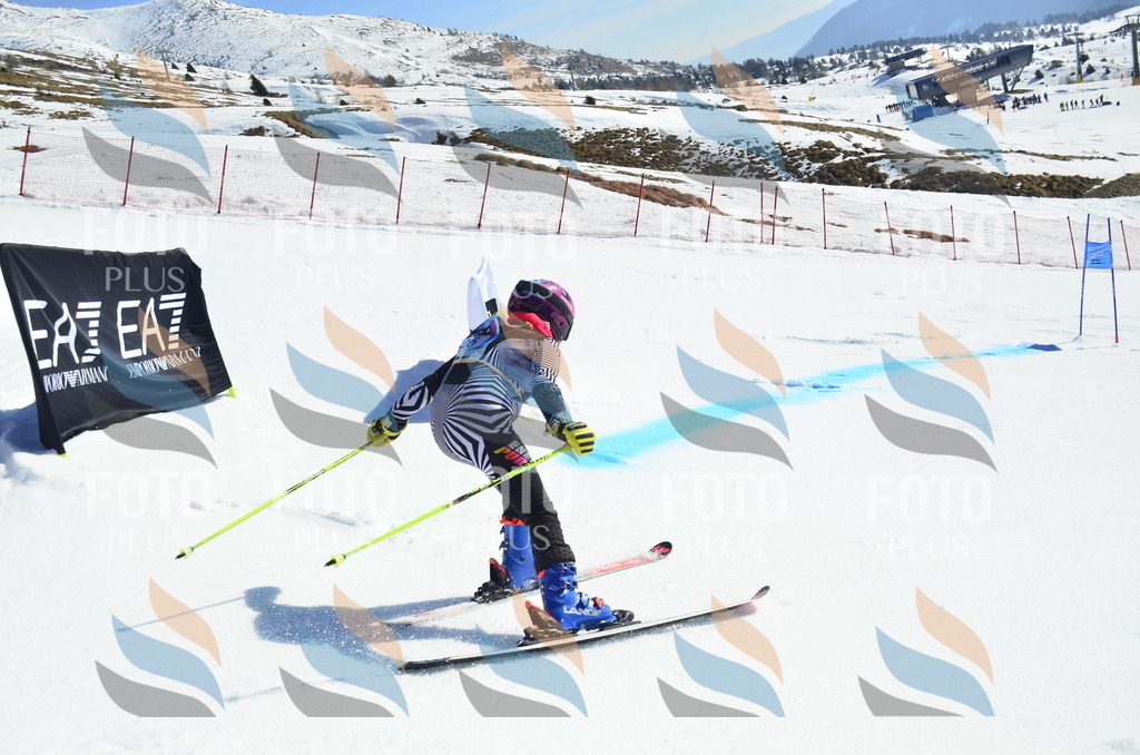 _ELE9942 | holidayphoto