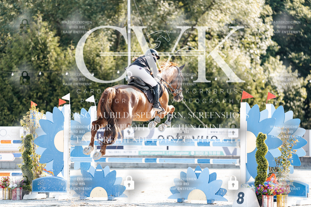 CK901685 | Turnierfotografie Pferdefotografie Trier Rheinland-Pfalz Pferdesport Reitsport Tierfotografie Sportfotografie Pferdevideo Pferdevideografie Equestrianvideography equestrianphotography  - Realisiert mit Pictrs.com