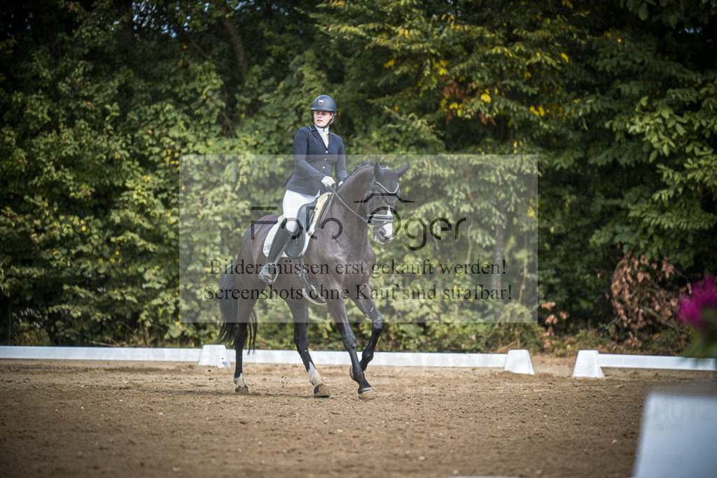 DOS_0270A | Entdecke hochwertige Reitturnierfotos von Foto Oger. Professionell, emotional und authentisch – jetzt Lieblingsmomente im Shop bestellen.Deutschlandweite Turnierfotografie. - Realisiert mit Pictrs.com