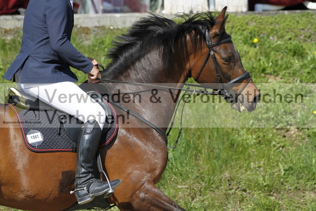 _MG_6747 | equestrian-live-com