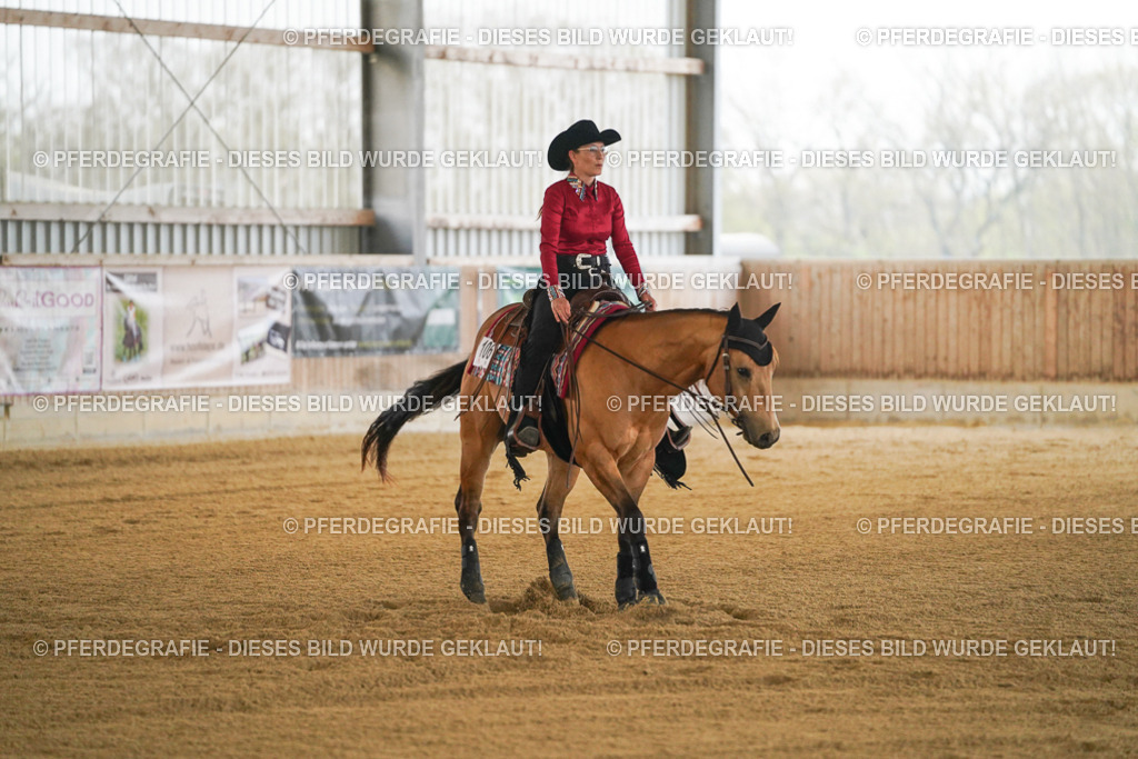 DSC08541 | Pferdegrafie