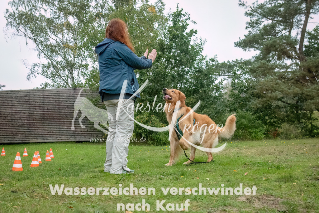 1101_ZZ93357-Bearbeitet | kk-dogfotos