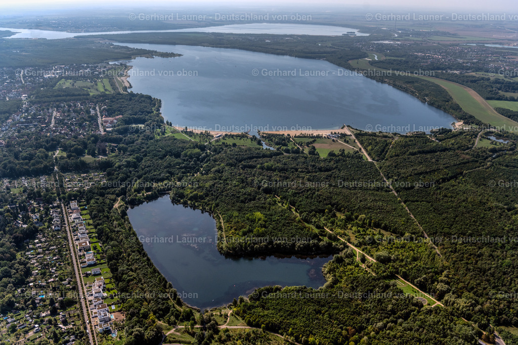 4041523 | BRAUNSBEDRA 08.09.2021 Rekultivierung der ehemaligen Tagebau - Fläche an den Uferbereichen des Sees " Geiseltalsee " in Braunsbedra im Bundesland Sachsen-Anhalt, Deutschland. // Open pit re cultivation on the shores of the lake " Geiseltalsee " in Braunsbedra in the state Saxony-Anhalt, Germany. Foto: Gerhard Launer