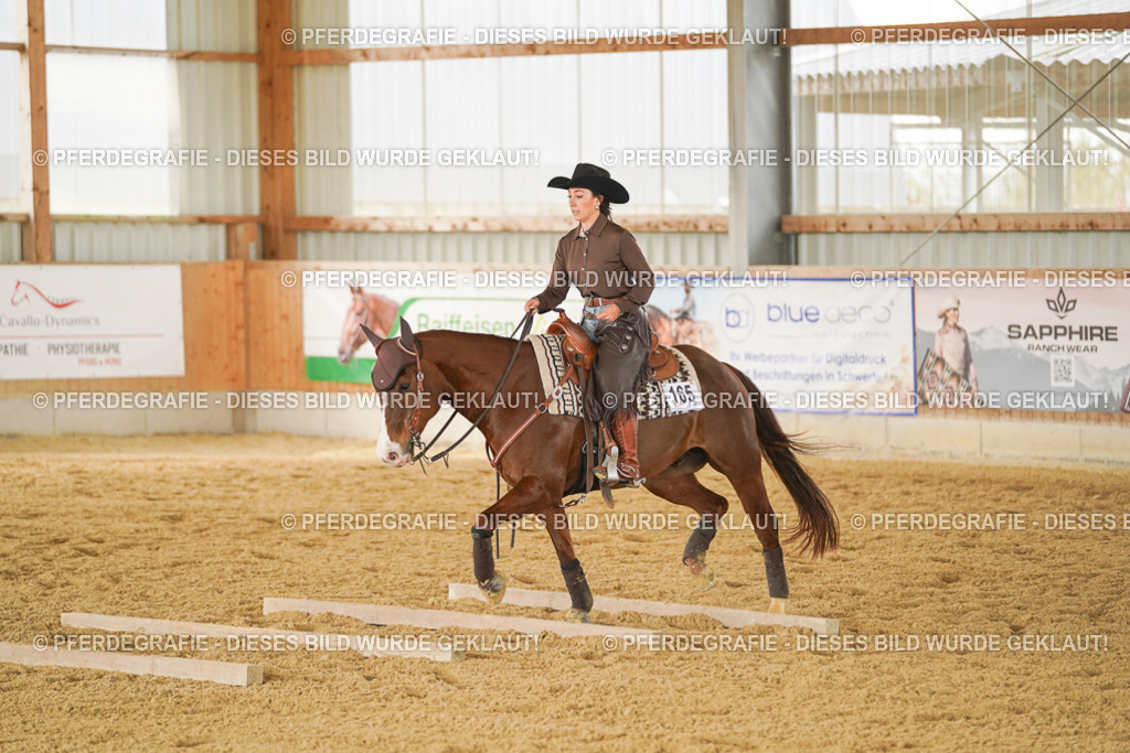 DSC04808 | Pferdegrafie