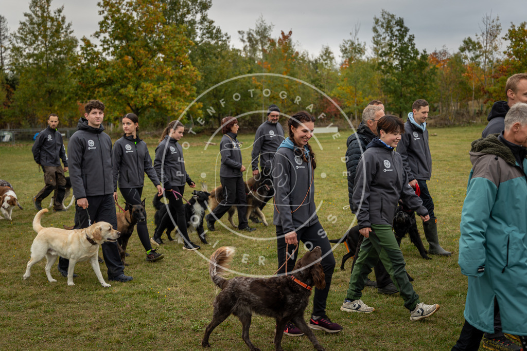 Pfotenfotografie_0L8A0245 | Hundefotografie, Tierfotograf, Pfotenfotografie, Fotoshooting Hund, Hunde Portrait, Hundesport, Hundeportraits, Heideshooting, Hunde, Sportfotograf, Hundefotograf, Turnierhundsport, THS,  - Realisiert mit Pictrs.com