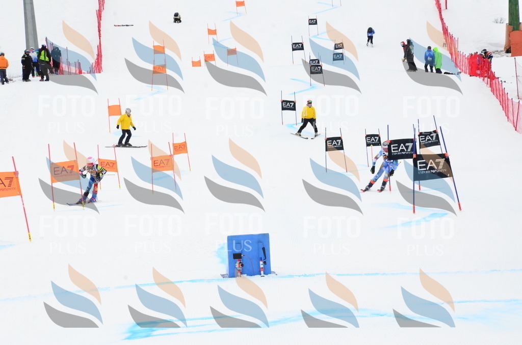 _ELE3517 | holidayphoto