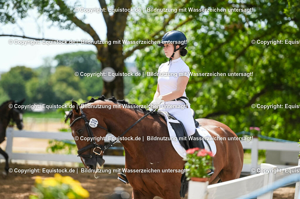 20230715_09_Dressur-WB_0147 | equistock