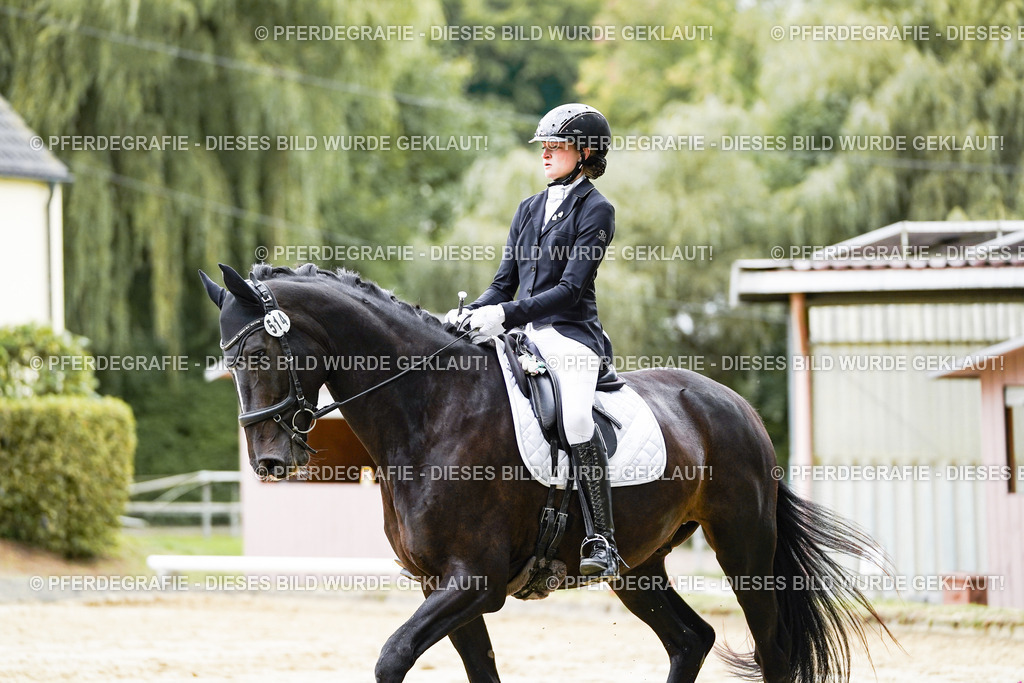 DSC07672 | Pferdegrafie