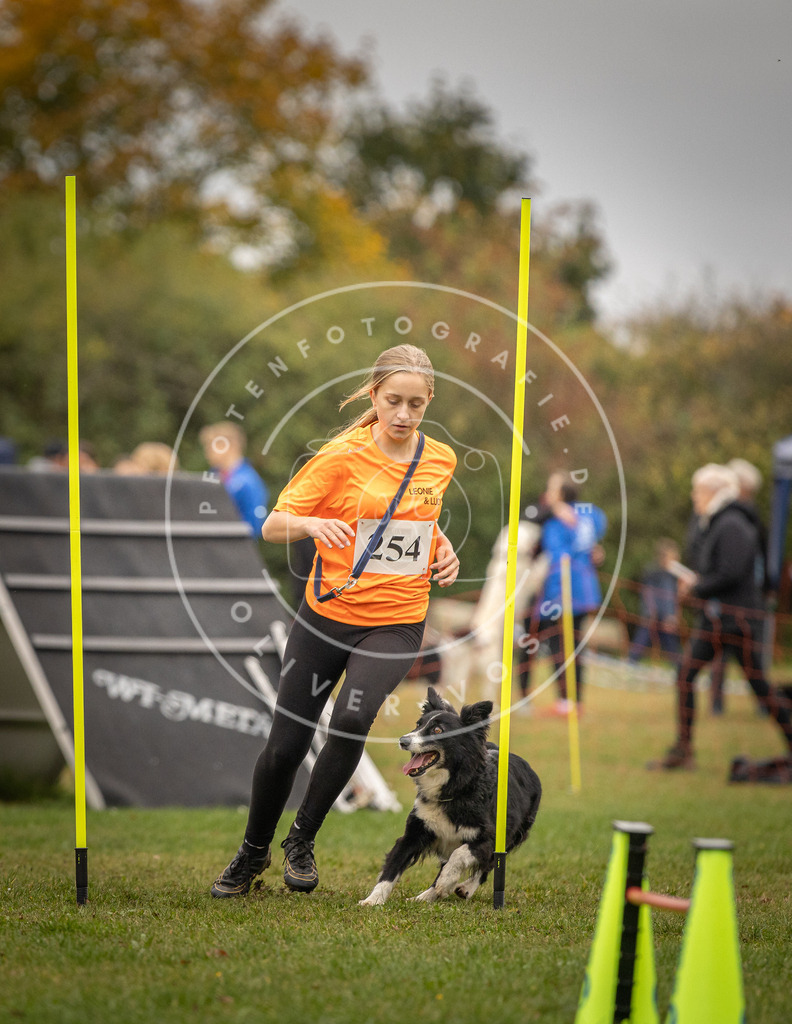 Pfotenfotografie_DV3A6547 | Hundefotografie, Tierfotograf, Pfotenfotografie, Fotoshooting Hund, Hunde Portrait, Hundesport, Hundeportraits, Heideshooting, Hunde, Sportfotograf, Hundefotograf, Turnierhundsport, THS,  - Realisiert mit Pictrs.com