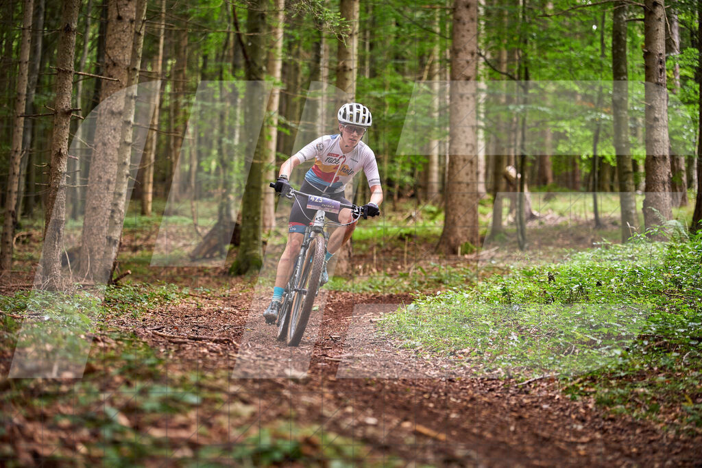 Betriebszentrum Laubenbachmühle, Frankenfels, Österreich - 13. September 2025: Dirndltal Race - Fun und Trophy RaceFotograf: Martin Bihounek / martinbihounek.com | 13. September 2025 Betriebszentrum Laubenbachmühle, Frankenfels, Österreich : Dirndltal Race - Fun und Trophy Race •••••Photo by: Martin Bihounek / martinbihounek.comInsta: @martinbihounekcom
