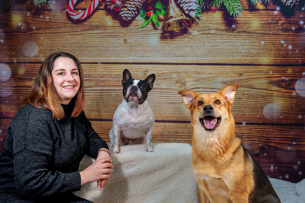 allesWIRTHgut Tierfotografie - 7IV02824-Verbessert-RR | Professionelle Tierfotografie in Mönchengladbach von Daniel Wirth (allesWIRTHgut). Liebevolle & natürliche Bilder von Hunden & Katzen für unvergessliche Erinnerungen.