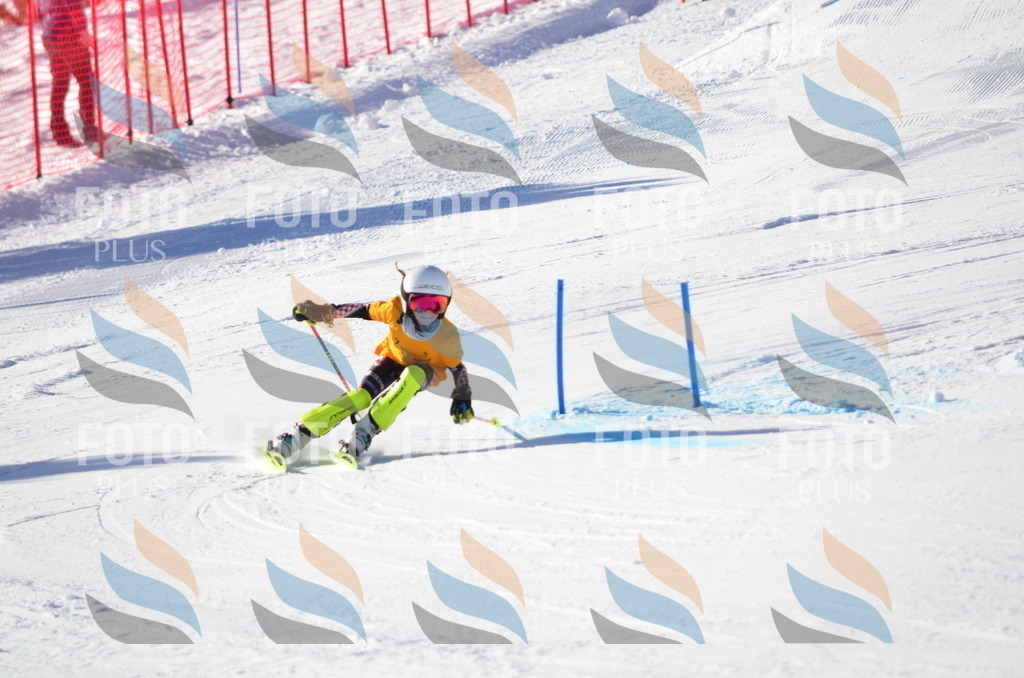 C6032 | holidayphoto