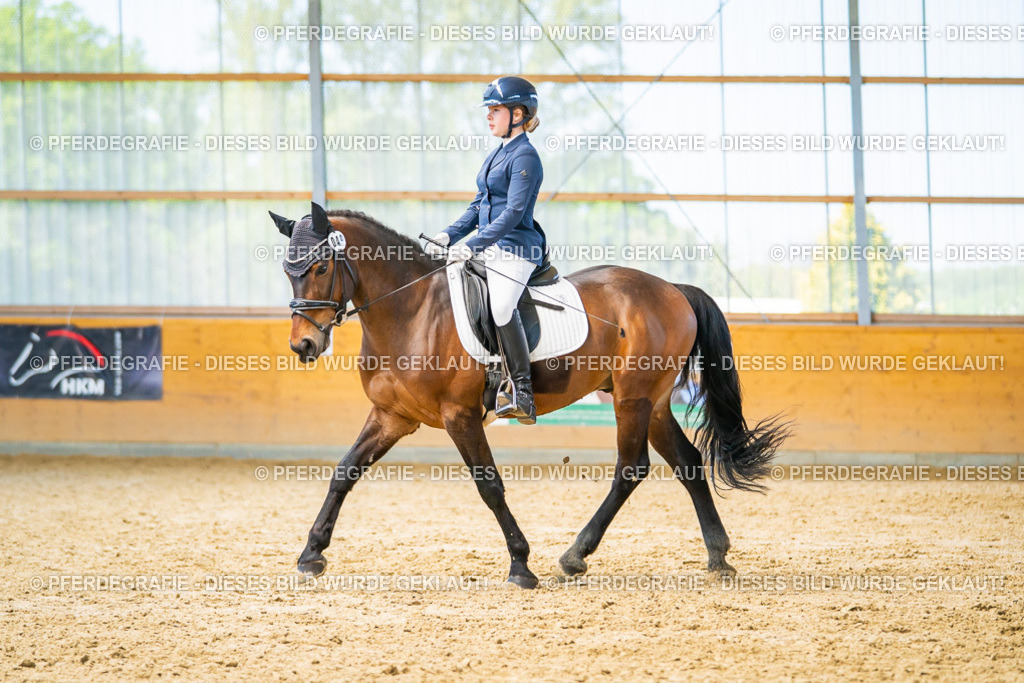 DSC08211 | Pferdegrafie