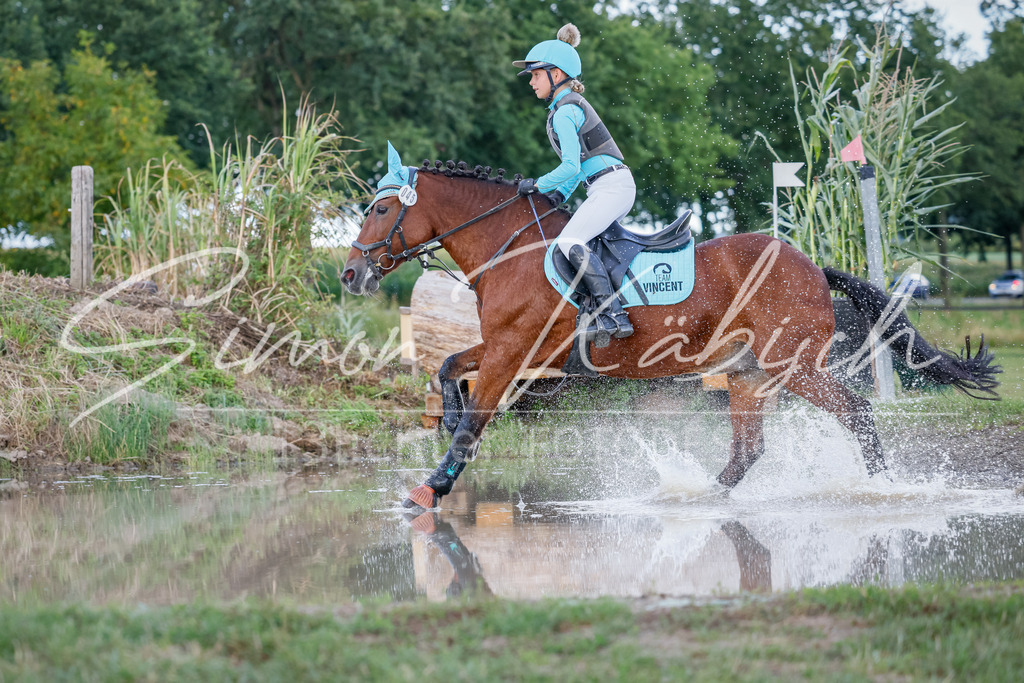 20250905-_3LI2041 | Tierfotografie Pferde, Hunde, Katzen, Haustiere.
Turnierfotografie Reitturniere, Reiten, Springreiten, Dressur in Hanau, dem Main-Kinzig-Kreis und dem Rhein-Main- Gebiet um Frankfurt
