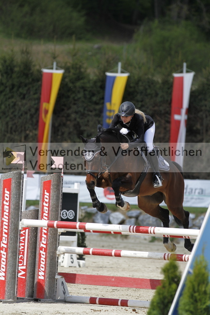 _MG_7725 | equestrian-live-com