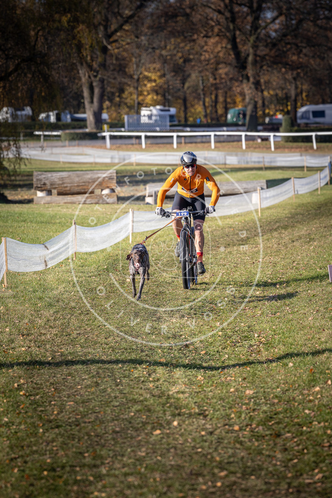 CaniXpix_DV3A2672 | Hundefotografie, Tierfotograf, Pfotenfotografie, Fotoshooting Hund, Hunde Portrait, Hundesport, Hundeportraits, Heideshooting, Hunde, Sportfotograf, Hundefotograf, Turnierhundsport, THS,  - Realisiert mit Pictrs.com