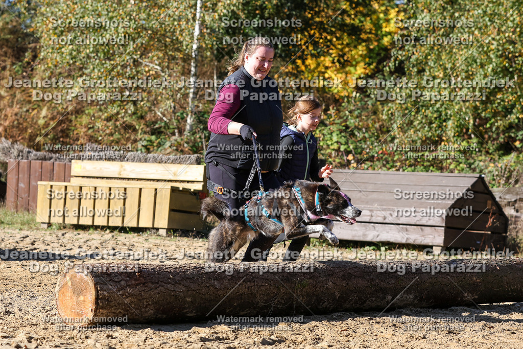 Dog Paparazzi - Strongdog 10-25-2843 | Dog Paparazzi Jeanette Grottendiek Fotografie & Videografie - Realisiert mit Pictrs.com