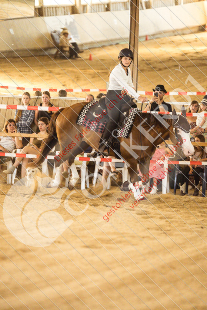 IMG_4960 | Sport-, Event- und Tierfotos in Profiqualität. Einfach auswählen, bestellen und herunterladen. Dein Moment – perfekt festgehalten.