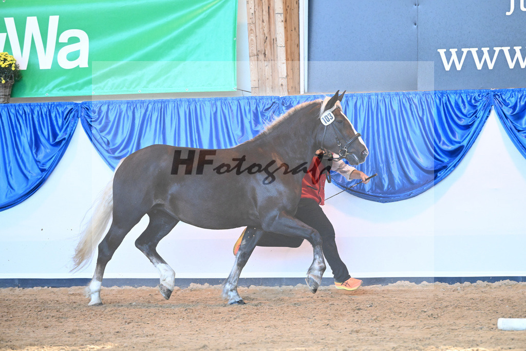 Kat-Nr. 103 F-Mathilda_ZG Heeres-Draeger_53220728 | hf-fotografie - Realizzato con Pictrs.com